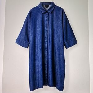 Denim Shirt Dress